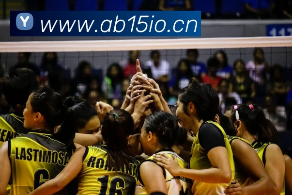 星空体育平台入口服务体系